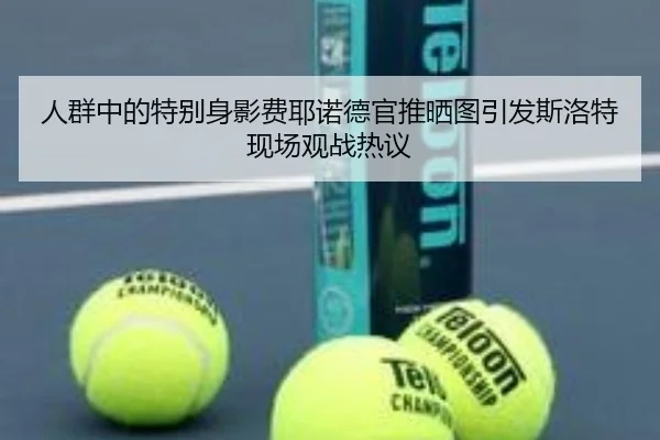人群中的特别身影费耶诺德官推晒图引发斯洛特现场观战热议